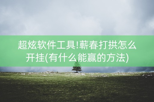 超炫软件工具!蕲春打拱怎么开挂(有什么能赢的方法)
