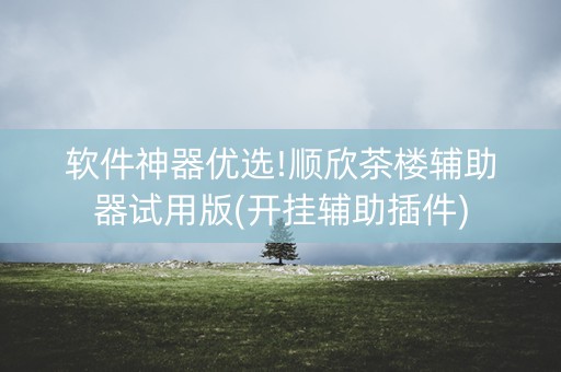 软件神器优选!顺欣茶楼辅助器试用版(开挂辅助插件)