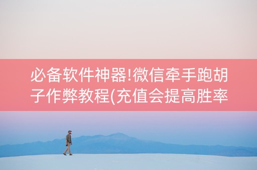必备软件神器!微信牵手跑胡子作弊教程(充值会提高胜率么)