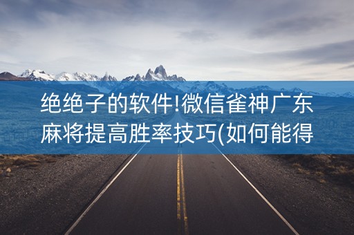 绝绝子的软件!微信雀神广东麻将提高胜率技巧(如何能得到好牌)