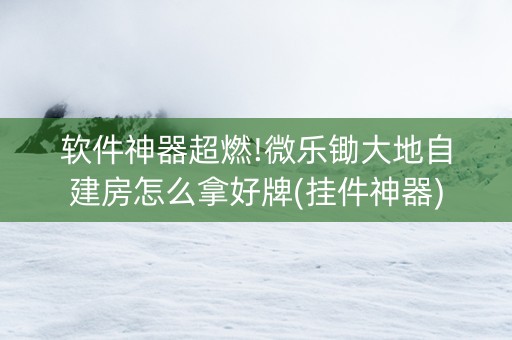 软件神器超燃!微乐锄大地自建房怎么拿好牌(挂件神器)
