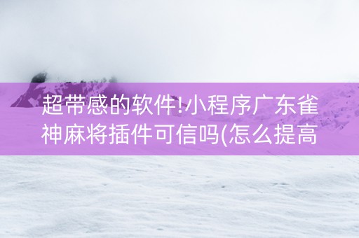 超带感的软件!小程序广东雀神麻将插件可信吗(怎么提高好牌率)