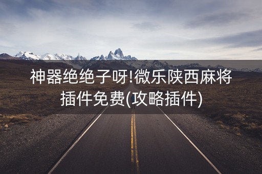神器绝绝子呀!微乐陕西麻将插件免费(攻略插件)