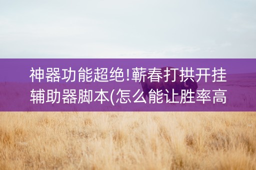 神器功能超绝!蕲春打拱开挂辅助器脚本(怎么能让胜率高)
