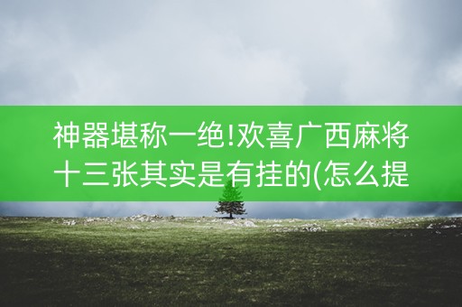 神器堪称一绝!欢喜广西麻将十三张其实是有挂的(怎么提高胜率)