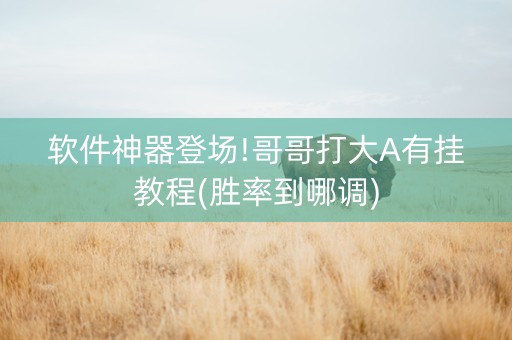 软件神器登场!哥哥打大A有挂教程(胜率到哪调)