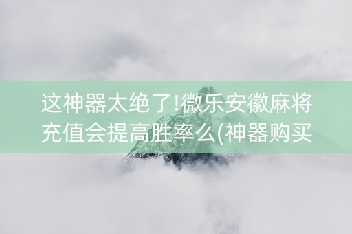 这神器太绝了!微乐安徽麻将充值会提高胜率么(神器购买好牌规律)