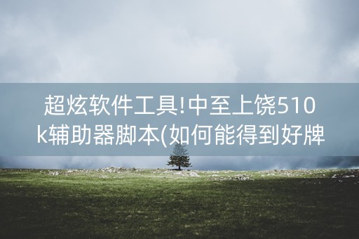 超炫软件工具!中至上饶510k辅助器脚本(如何能得到好牌)
