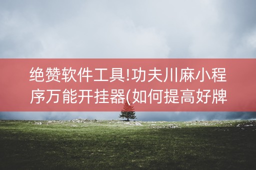 绝赞软件工具!功夫川麻小程序万能开挂器(如何提高好牌几率)