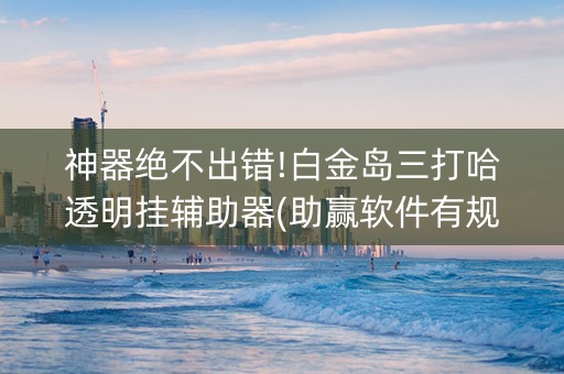 神器绝不出错!白金岛三打哈透明挂辅助器(助赢软件有规律吗)