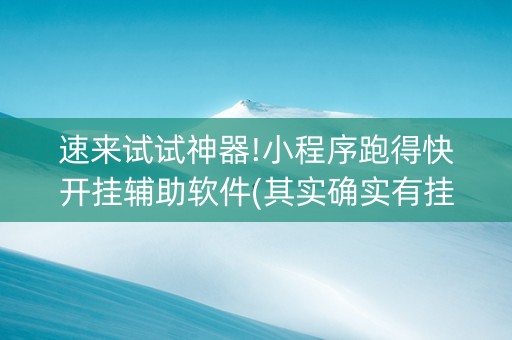 速来试试神器!小程序跑得快开挂辅助软件(其实确实有挂)