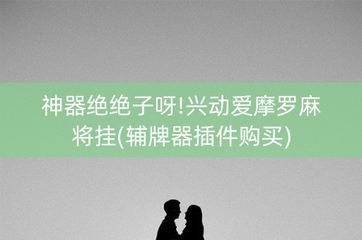 神器绝绝子呀!兴动爱摩罗麻将挂(辅牌器插件购买)