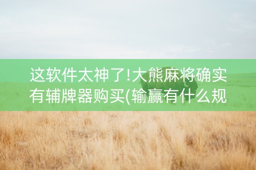 这软件太神了!大熊麻将确实有辅牌器购买(输赢有什么规律)