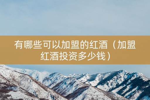 有哪些可以加盟的红酒（加盟红酒投资多少钱）