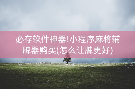 必存软件神器!小程序麻将辅牌器购买(怎么让牌更好)