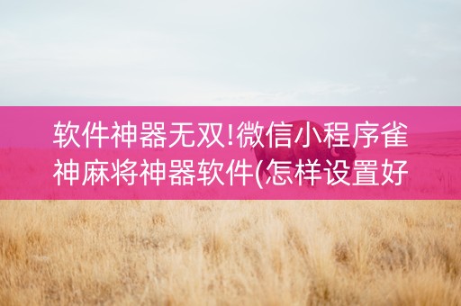 软件神器无双!微信小程序雀神麻将神器软件(怎样设置好牌)