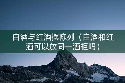 白酒与红酒摆陈列（白酒和红酒可以放同一酒柜吗）