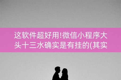 这软件超好用!微信小程序大头十三水确实是有挂的(其实真的确实有挂)