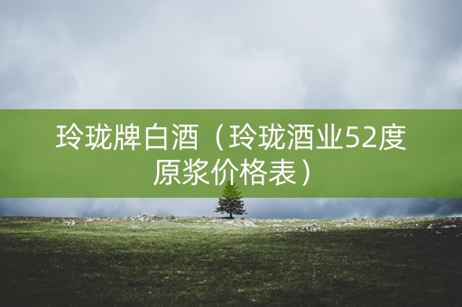 玲珑牌白酒（玲珑酒业52度原浆价格表）