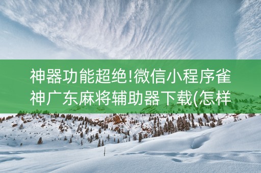 神器功能超绝!微信小程序雀神广东麻将辅助器下载(怎样设置好牌)