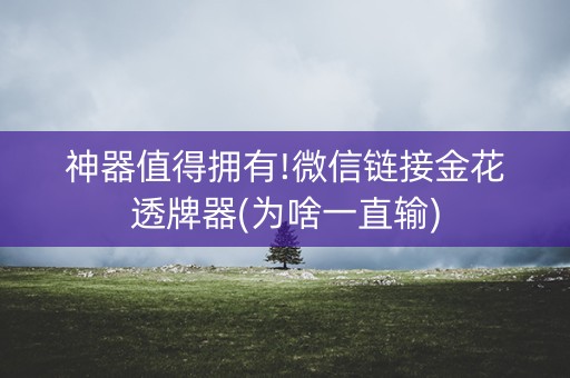 神器值得拥有!微信链接金花透牌器(为啥一直输)