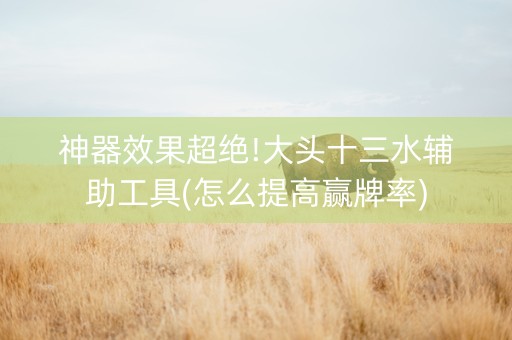 神器效果超绝!大头十三水辅助工具(怎么提高赢牌率)