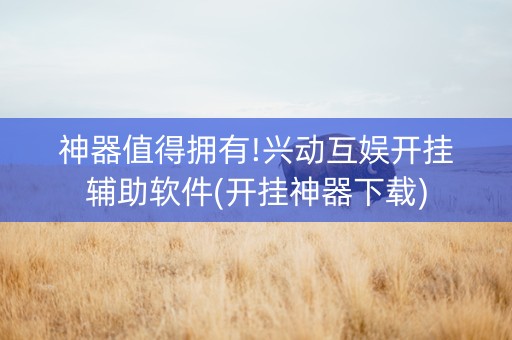 神器值得拥有!兴动互娱开挂辅助软件(开挂神器下载)
