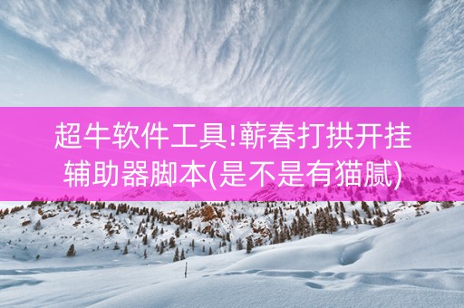 超牛软件工具!蕲春打拱开挂辅助器脚本(是不是有猫腻)