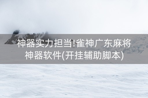 神器实力担当!雀神广东麻将神器软件(开挂辅助脚本)