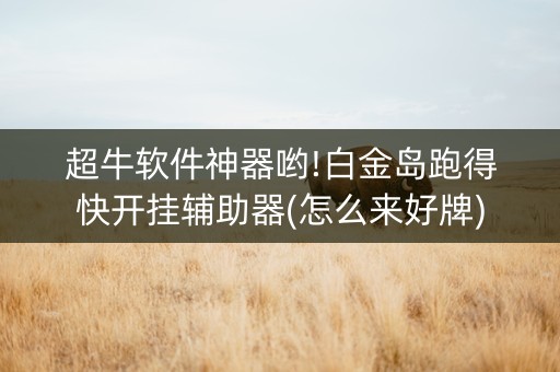 超牛软件神器哟!白金岛跑得快开挂辅助器(怎么来好牌)