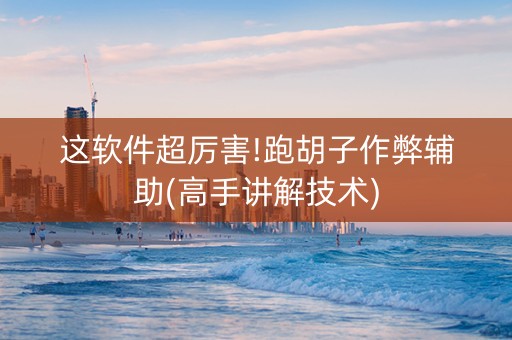 这软件超厉害!跑胡子作弊辅助(高手讲解技术)