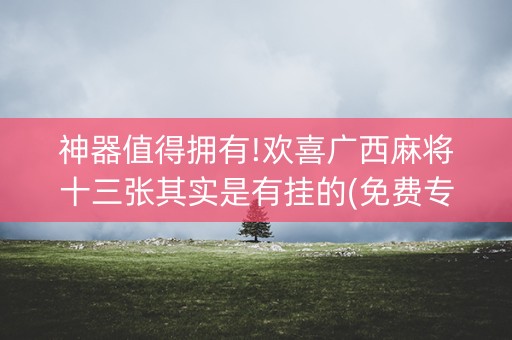 神器值得拥有!欢喜广西麻将十三张其实是有挂的(免费专用神器)