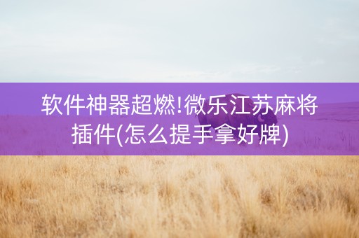 软件神器超燃!微乐江苏麻将插件(怎么提手拿好牌)