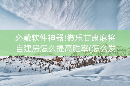 必藏软件神器!微乐甘肃麻将自建房怎么提高胜率(怎么发好牌)