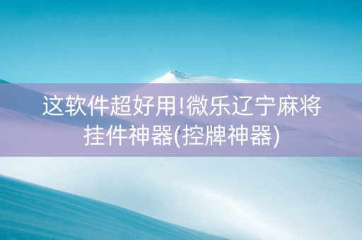 这软件超好用!微乐辽宁麻将挂件神器(控牌神器)
