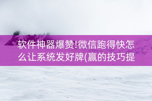 软件神器爆赞!微信跑得快怎么让系统发好牌(赢的技巧提高胜率)