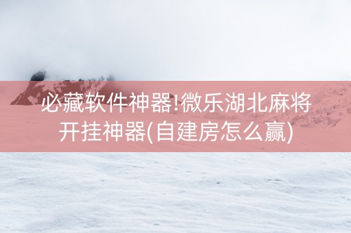 必藏软件神器!微乐湖北麻将开挂神器(自建房怎么赢)