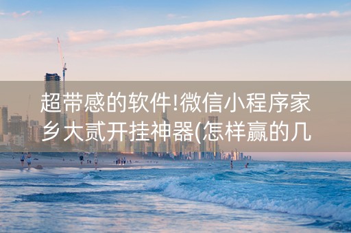 超带感的软件!微信小程序家乡大贰开挂神器(怎样赢的几率大)