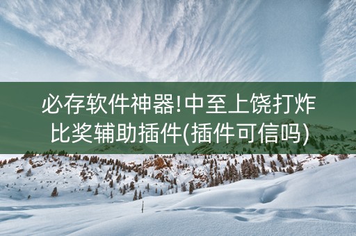 必存软件神器!中至上饶打炸比奖辅助插件(插件可信吗)