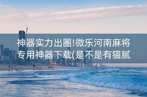神器实力出圈!微乐河南麻将专用神器下载(是不是有猫腻)