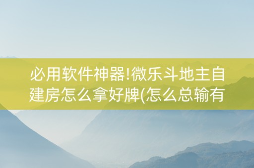 必用软件神器!微乐斗地主自建房怎么拿好牌(怎么总输有什么猫腻)