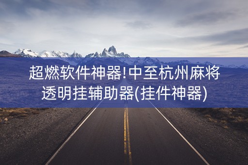 超燃软件神器!中至杭州麻将透明挂辅助器(挂件神器)