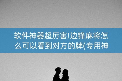 软件神器超厉害!边锋麻将怎么可以看到对方的牌(专用神器)
