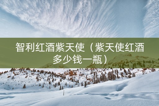 智利红酒紫天使（紫天使红酒多少钱一瓶）