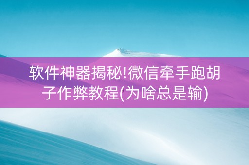 软件神器揭秘!微信牵手跑胡子作弊教程(为啥总是输)