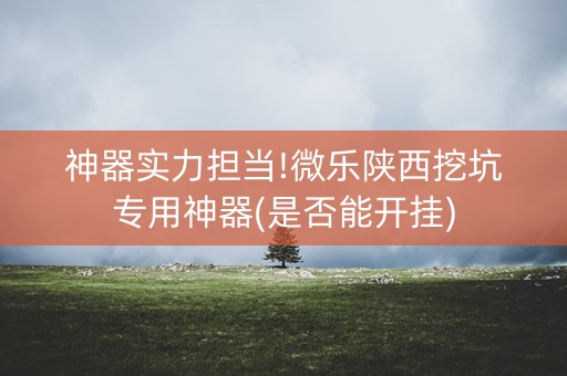 神器实力担当!微乐陕西挖坑专用神器(是否能开挂)