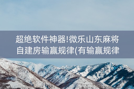 超绝软件神器!微乐山东麻将自建房输赢规律(有输赢规律吗)