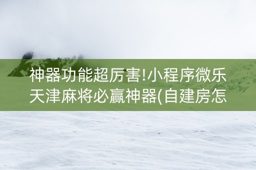 神器功能超厉害!小程序微乐天津麻将必赢神器(自建房怎么拿好牌)