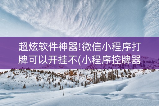 超炫软件神器!微信小程序打牌可以开挂不(小程序控牌器)
