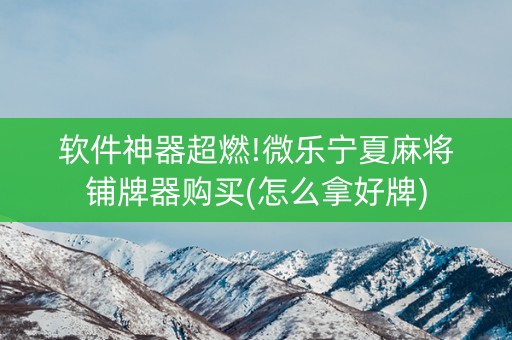 软件神器超燃!微乐宁夏麻将铺牌器购买(怎么拿好牌)